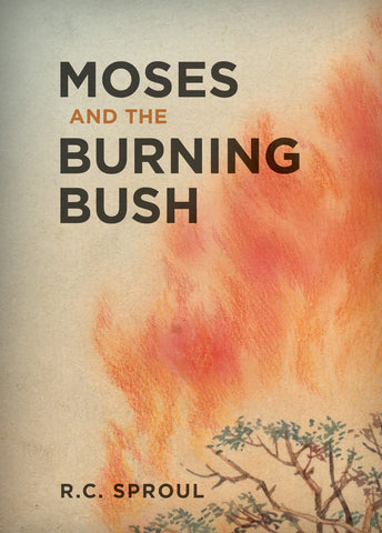 Moses and the Burning Bush (Softcover)
