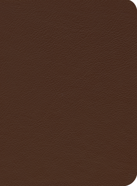 ESV Reformation Study Bible (Premium Leather, Brown)