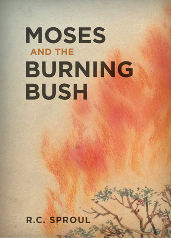 Moses and the Burning Bush (Hardcover)