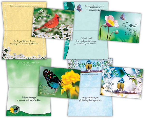 Shared Blessings Greeting Cards - Get Well: Birds & Butterflies