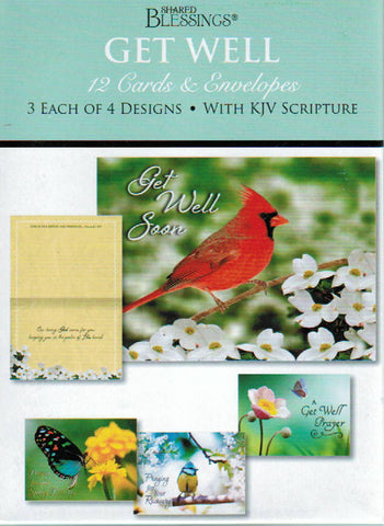Shared Blessings Greeting Cards - Get Well: Birds & Butterflies