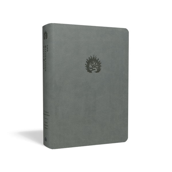ESV Reformation Study Bible (Leather-like, Light Gray)