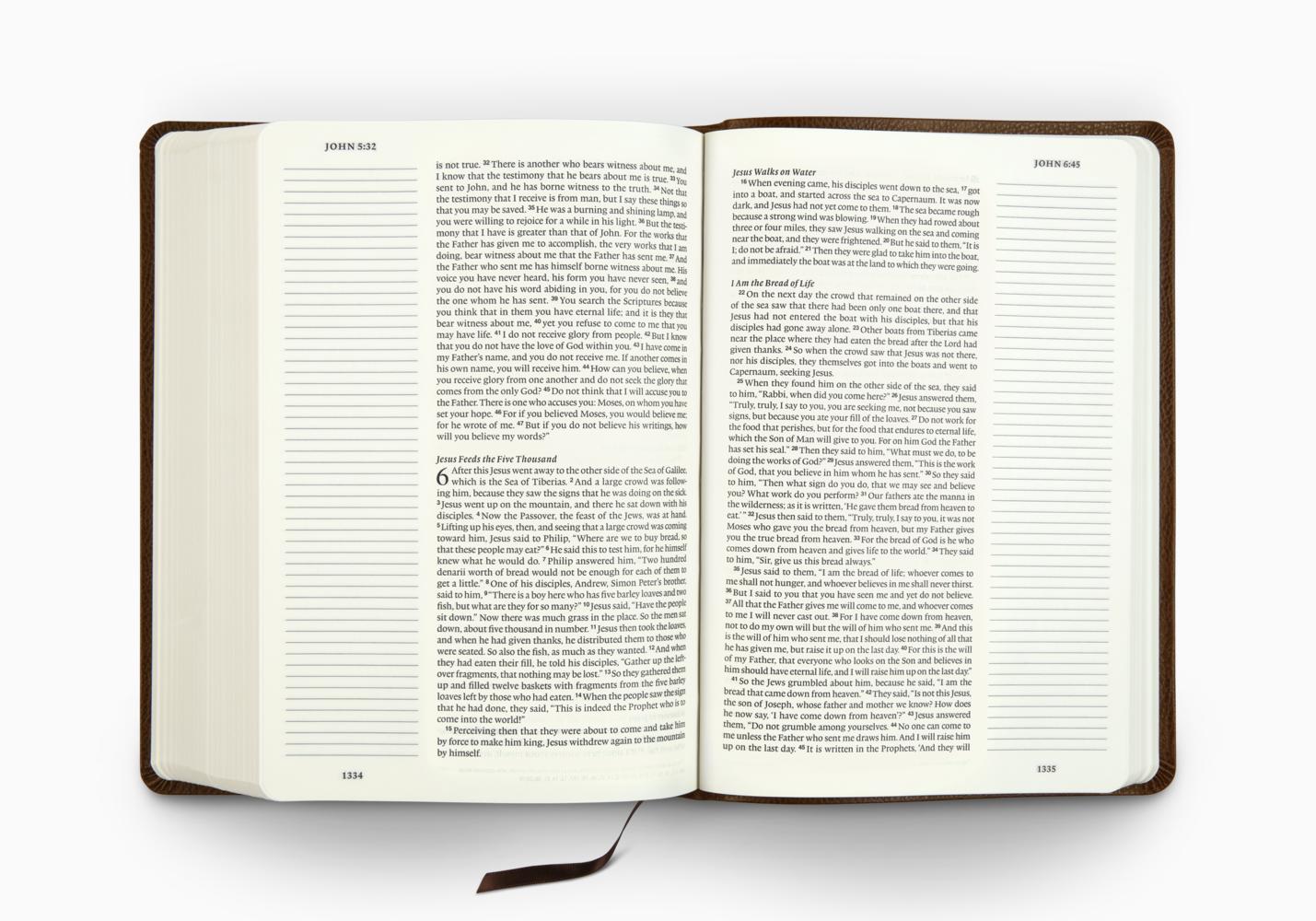 ESV Single Column Journaling Bible, Large Print (Bonded Leather