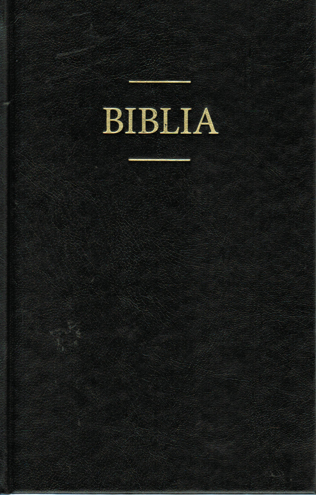 Biblia [Romanian Bible]
