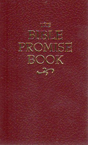 The Bible Promise Book