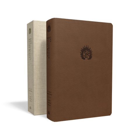 ESV Reformation Study Bible (Leather-like, Light Brown)