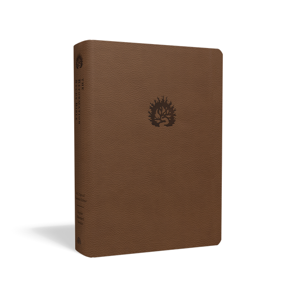 ESV Reformation Study Bible (Leather-like, Light Brown)