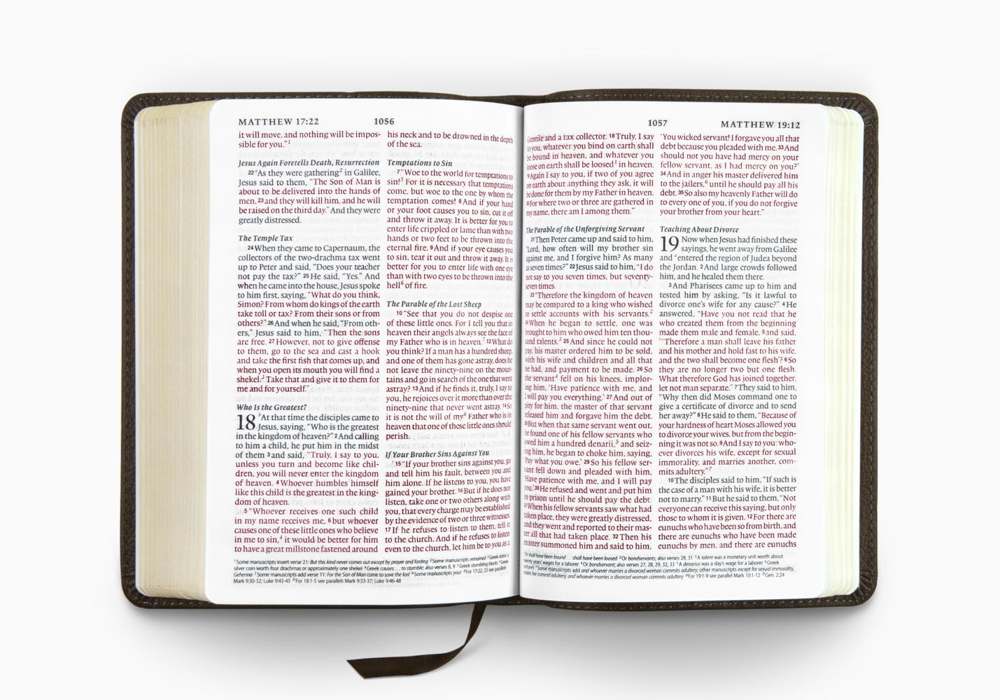 ESV Large Print Compact Bible, Red Letter (Buffalo Leather, Deep