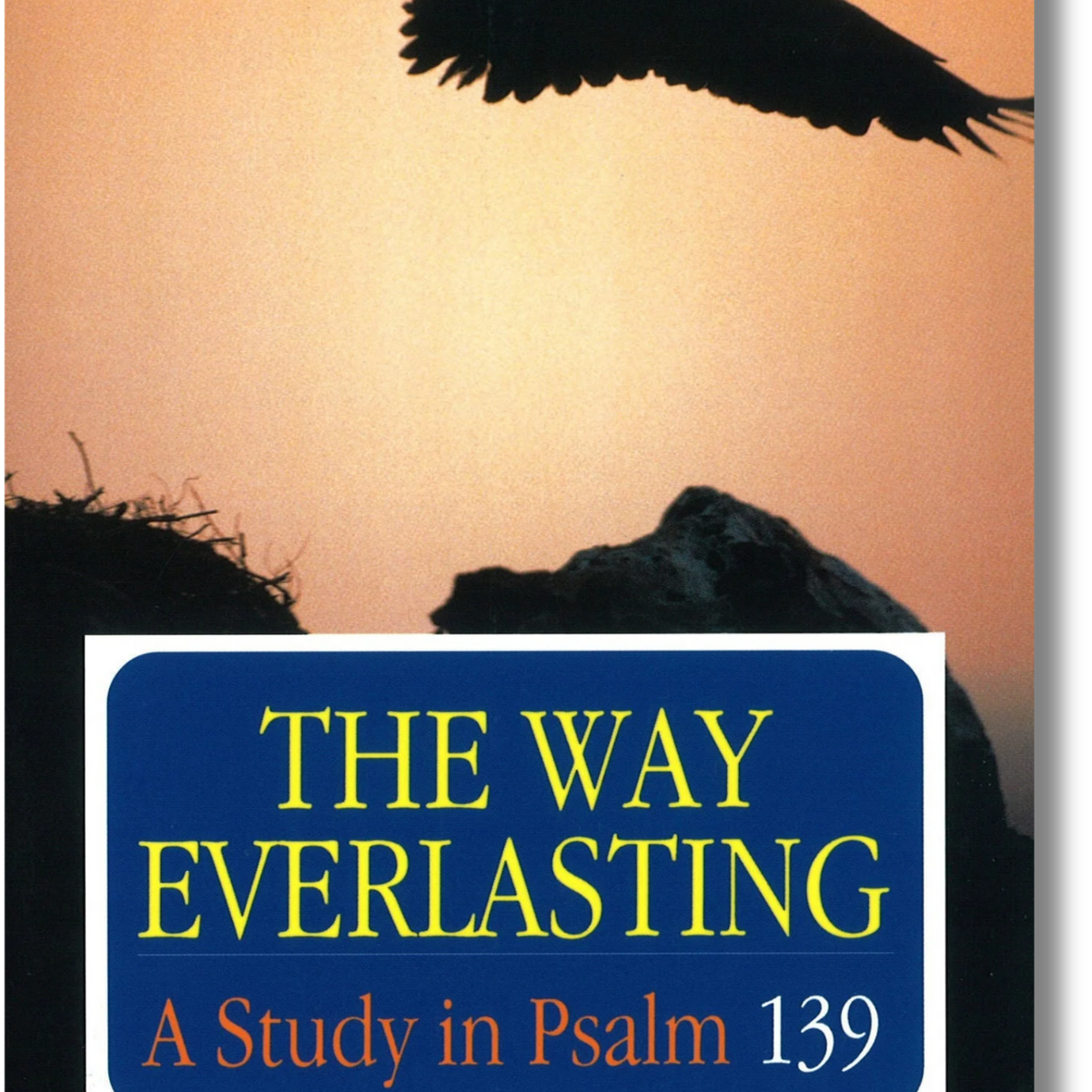 The Way Everlasting: A Study in Psalm 139 – Reformed Book Services