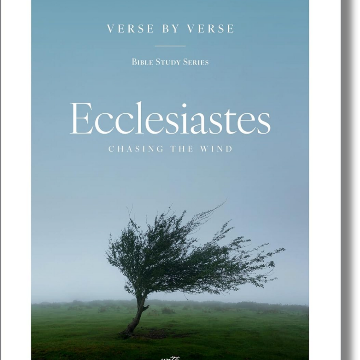 Ecclesiastes: Chasing the Wind (Verse by Verse Bible Study Series ...