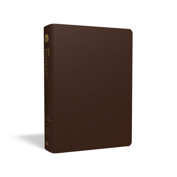 ESV Reformation Study Bible (Premium Leather, Brown)