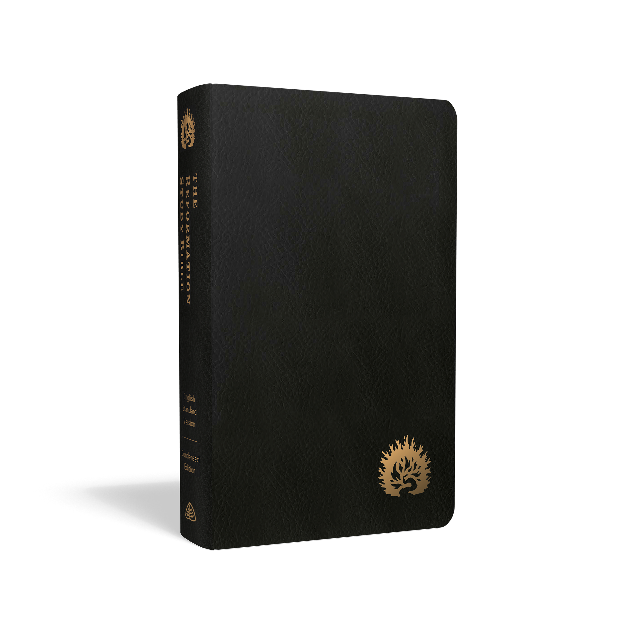 ESV Reformation Study Bible, Condensed Edition (Premium Leather
