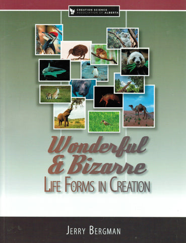 Wonderful and Bizarre: Life Forms in Creation