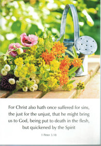 Scripture Greeting Cards 6" x 4"  - 1 Peter 3:18