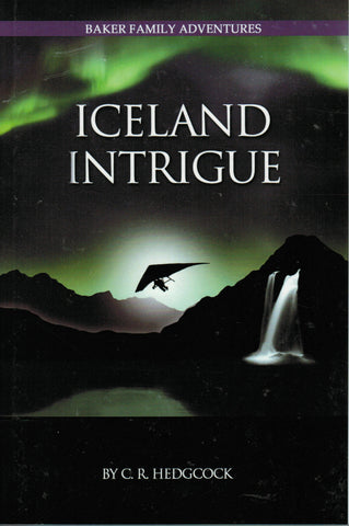 Baker Family Adventures #6 - Iceland Intrigue