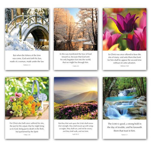 Scripture Greeting Cards 6" x 4"  - Assorted