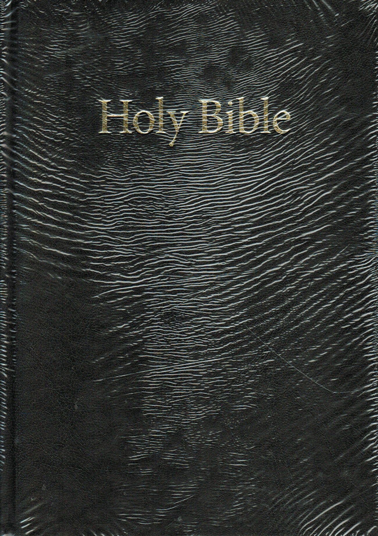 KJV Bible - TBS Windsor Large Print (Hardcover)