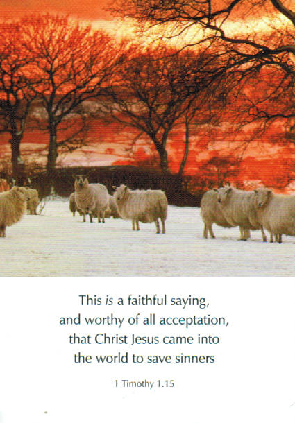 Scripture Greeting Cards 6" x 4"  - 1 Timothy 1:15
