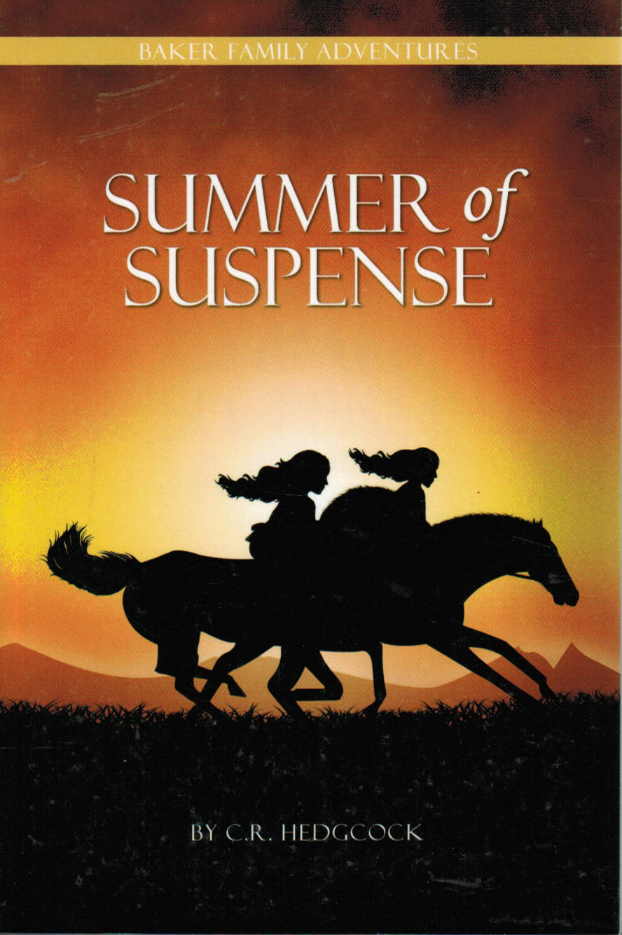 Baker Family Adventures #1 - Summer of Suspense