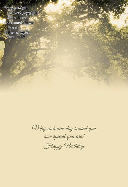 Shared Blessings Greeting Cards - Birthday: Rays of Light