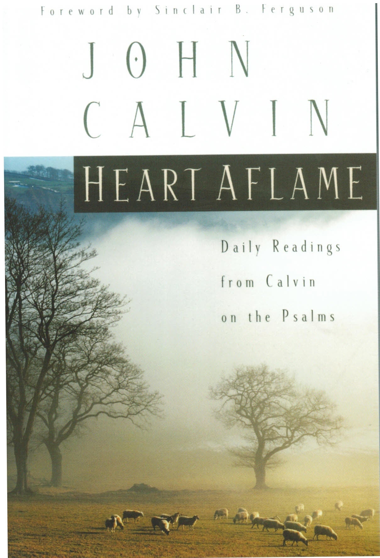 Heart Aflame: Daily Readings from Calvin on the Psalms