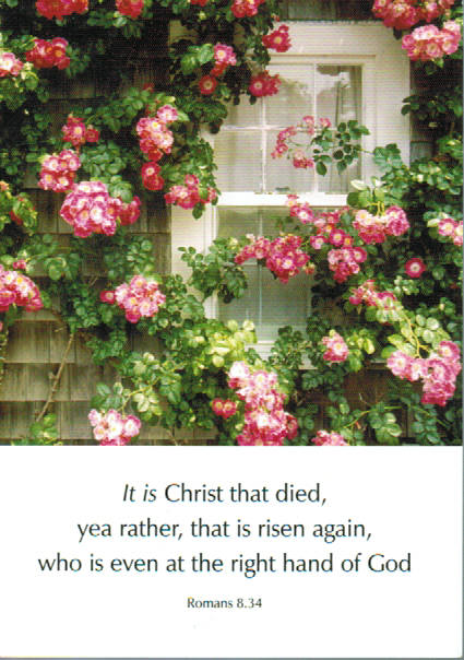 Scripture Greeting Cards 6" x 4"  - Romans 8:34