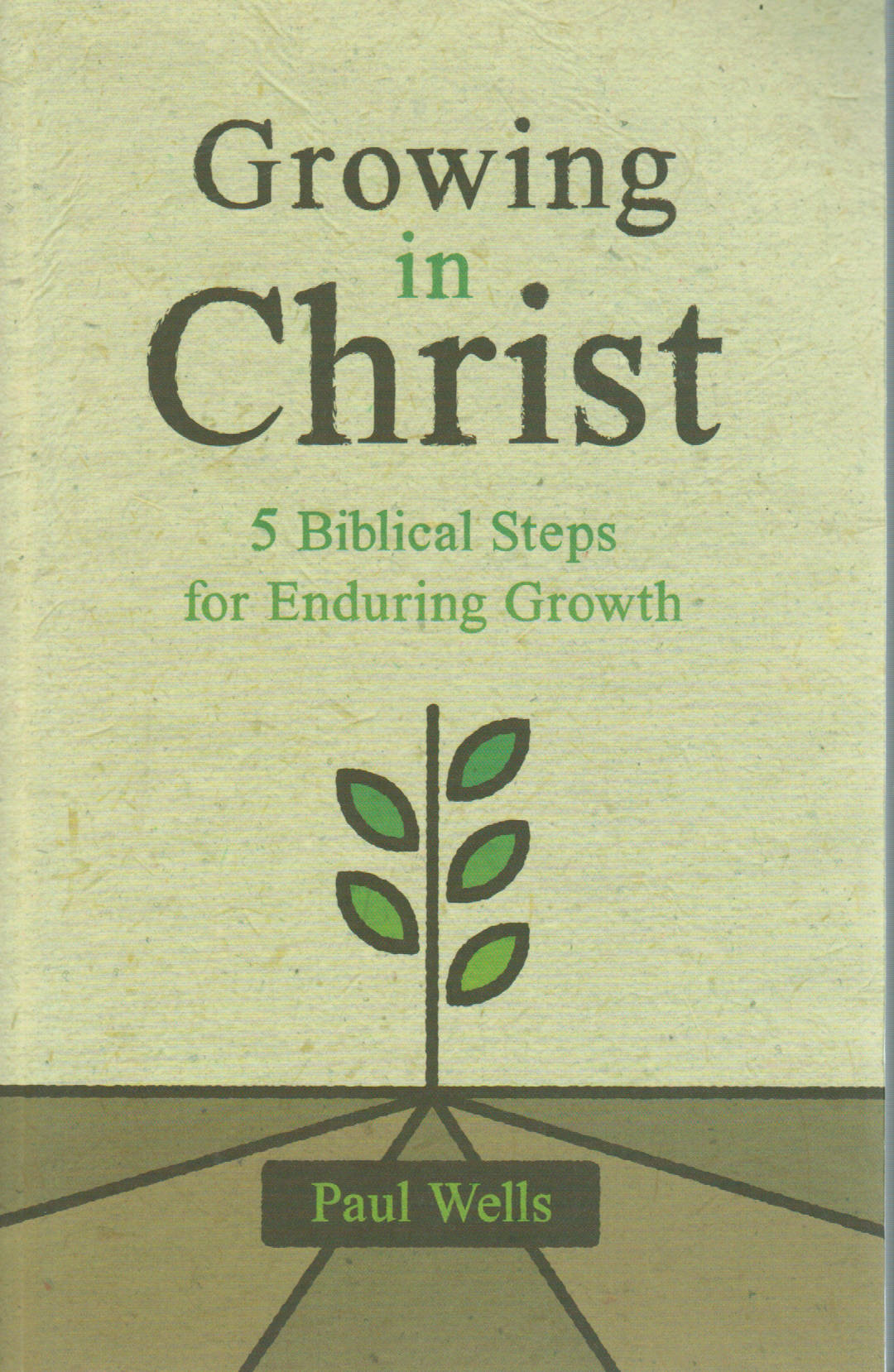 Growing in Christ: 5 Biblical Steps for Enduring Growth