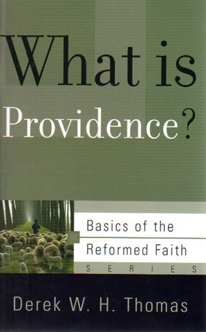 Basics of the Faith - What is Providence?