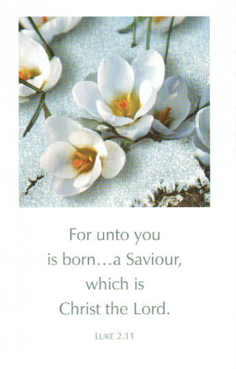 Scripture Greeting Cards 5.5" x 3.5"  - Luke 2:11