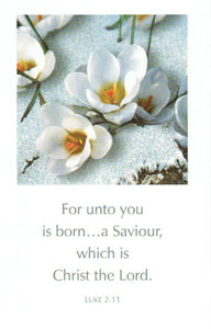 Scripture Greeting Cards 5.5" x 3.5"  - Luke 2:11
