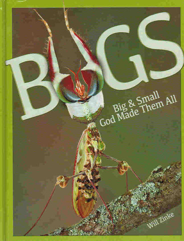 Bugs Big and Small: God Made them All