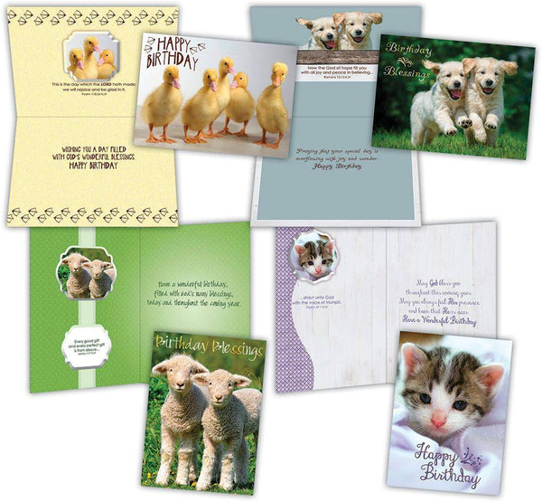 Shared Blessings Greeting Cards - Birthday: Fur & Feathers