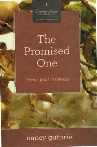 Seeing Jesus in the Old Testament Series - The Promised One: Seeing Jesus in Genesis