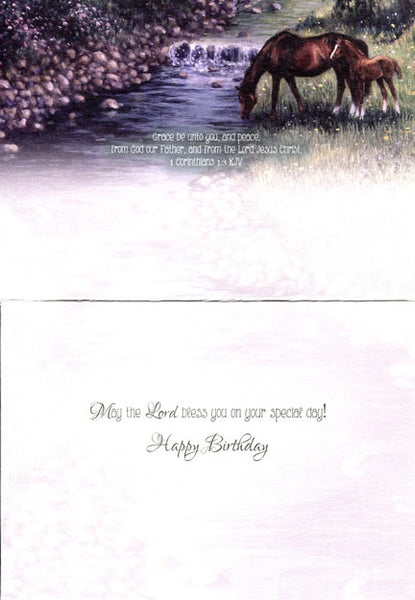Shared Blessings Greeting Cards - Birthday: Beginnings (Horses)