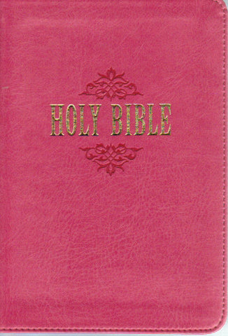 KJV Bible - Christian Art Compact Large Print (Imitation)