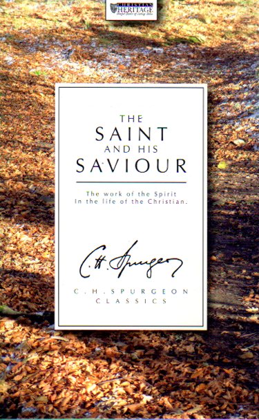 The Saint and His Saviour: Progress of the Soul in the Knowledge of Jesus