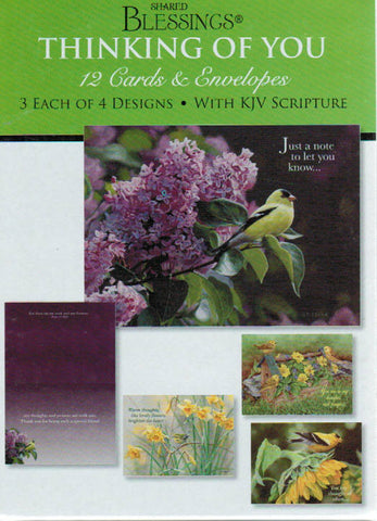 Shared Blessings Greeting Cards - Thinking of You: Birds & Flowers