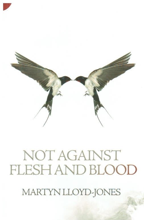 Not Against Flesh And Blood: The Battle Against Spiritual Wickedness in High Places
