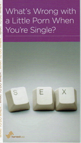 NewGrowth Minibooks - What's Wrong with a Little Porn When You're Single?