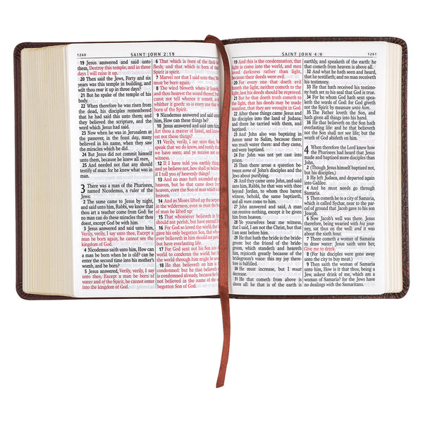 KJV Bible - Christian Art Compact Large Print (Imitation)