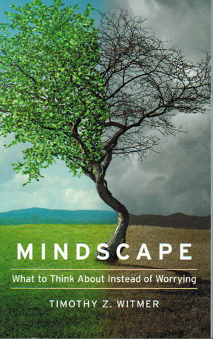 Mindscape: What to Think about Instead of Worrying