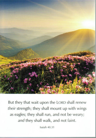 Scripture Greeting Cards 6" x 4"  - Isaiah 40:31