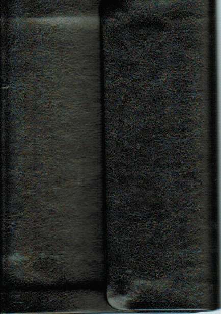 KJV Bible - Holman Compact Large Print Reference (Imitation)